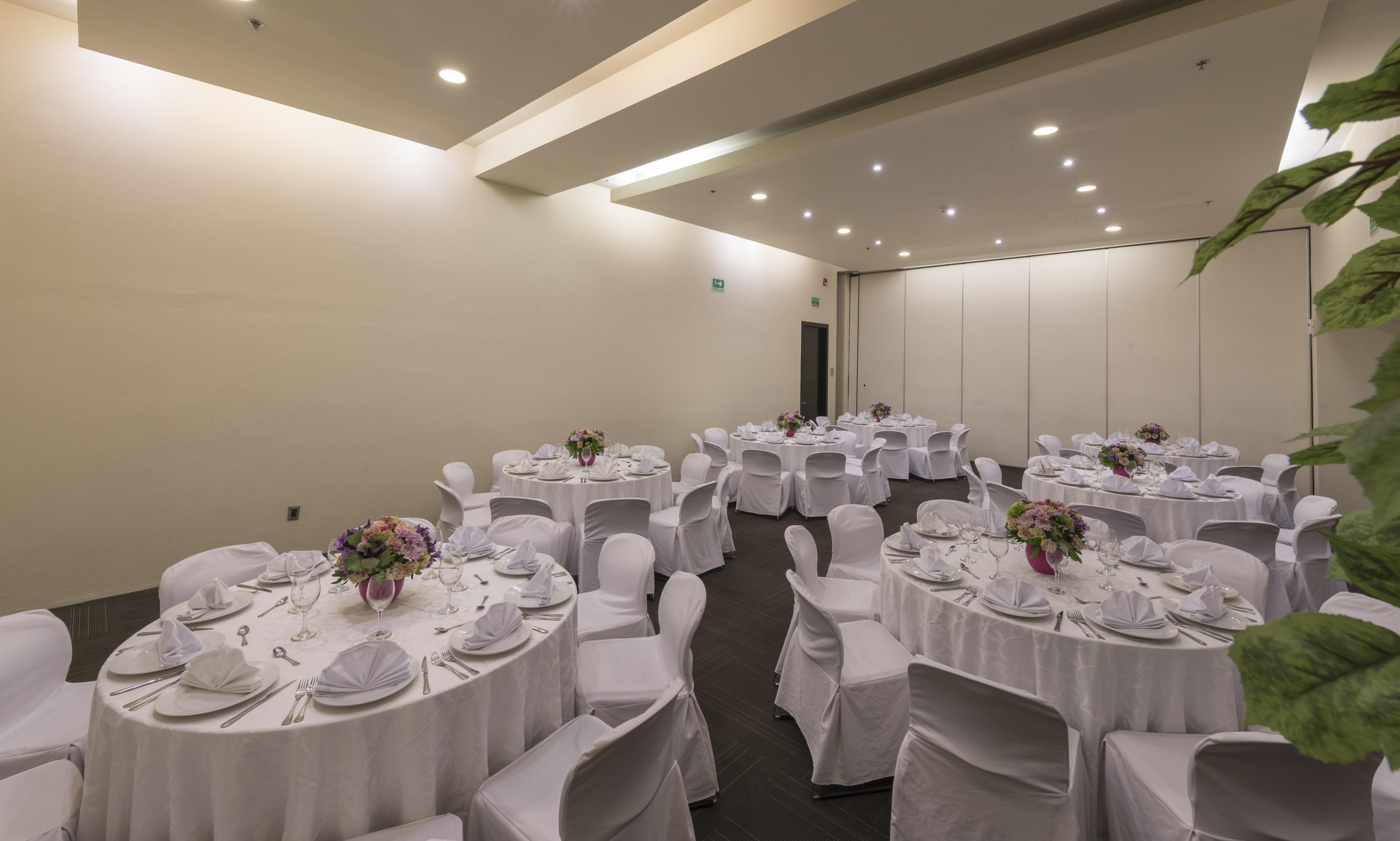 Victoria Ejecutivo Hotell Guadalajara Exteriör bild